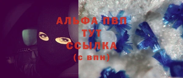 сатива Балахна
