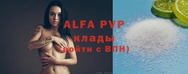 сатива Балахна