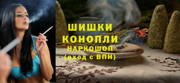 сатива Балахна