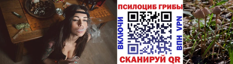 Галлюциногенные грибы Psilocybine cubensis  купить наркотики цена  Бокситогорск 